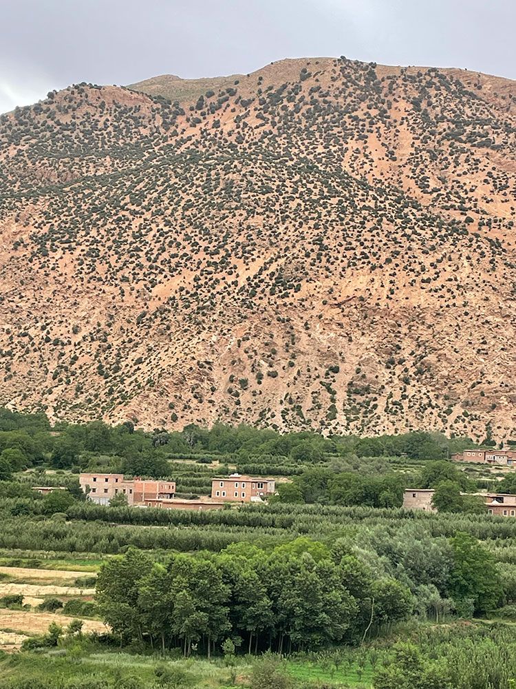 Omgeving Gîte d'Étape Tamazirt | © Tamazirt Reizen