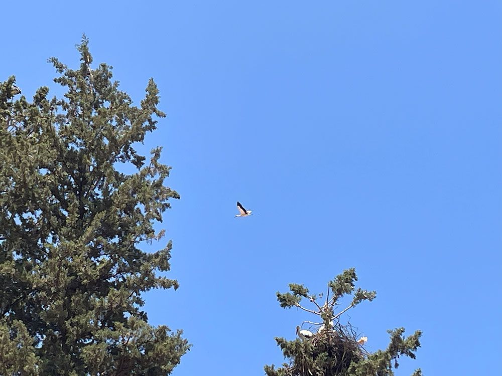 Omgeving Gîte d'Étape Tamazirt | © Tamazirt Reizen