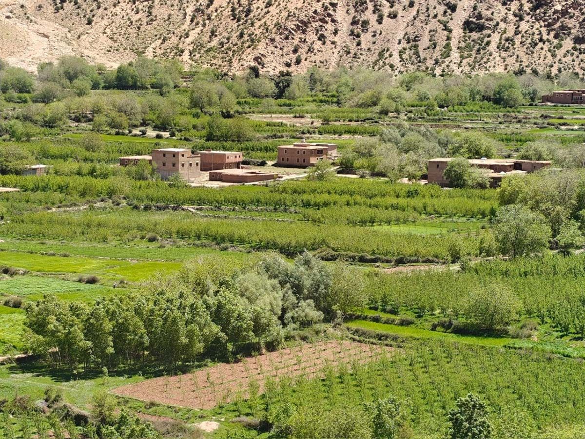 Omgeving Gîte d'Étape Tamazirt | © Tamazirt Reizen