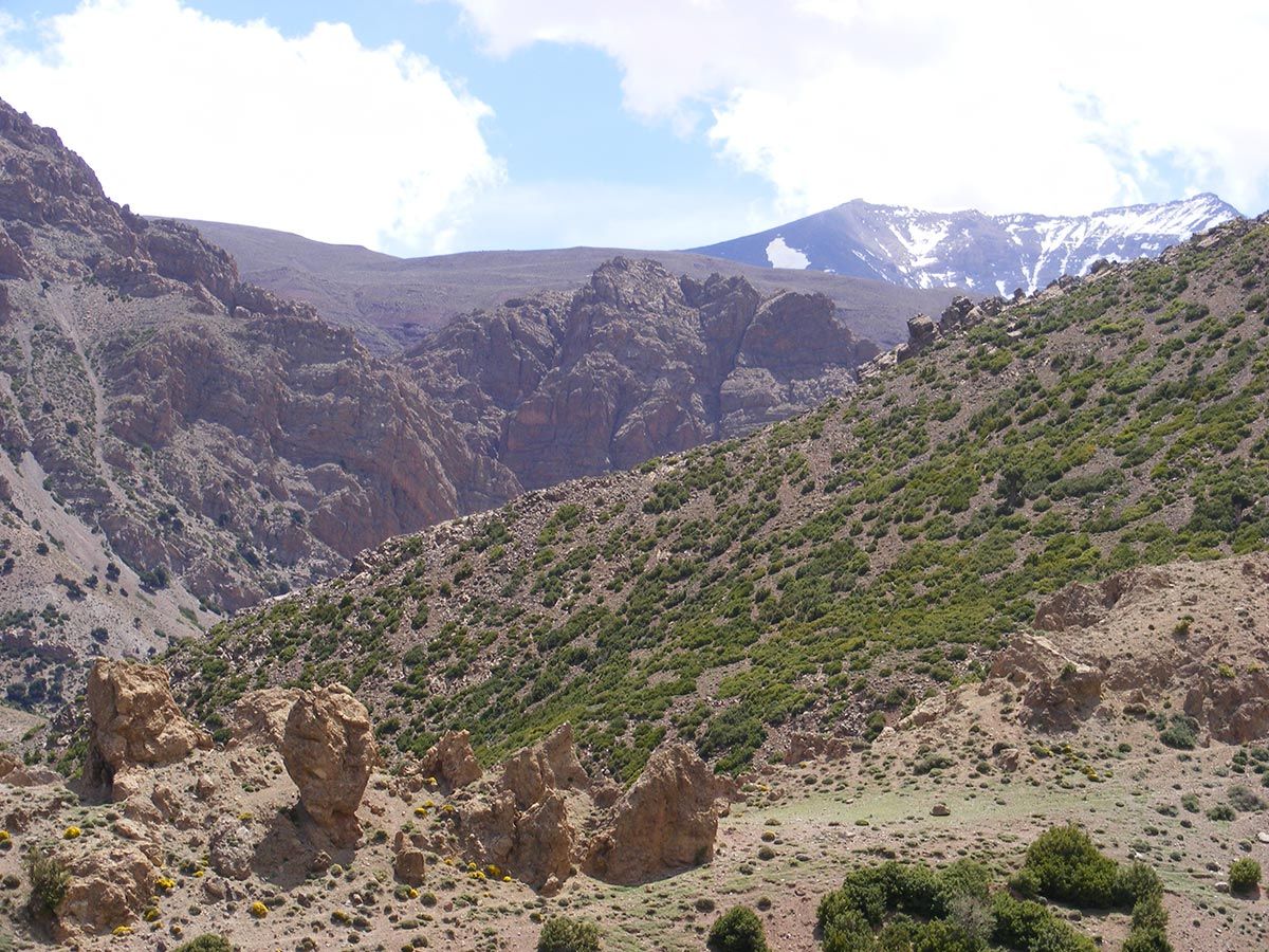 Omgeving Gîte La Tulipe d'Ikiss | © Tamazirt Reizen